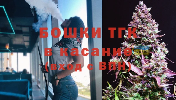 бошки Каменногорск