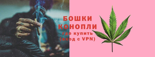 ALPHA PVP Каменка