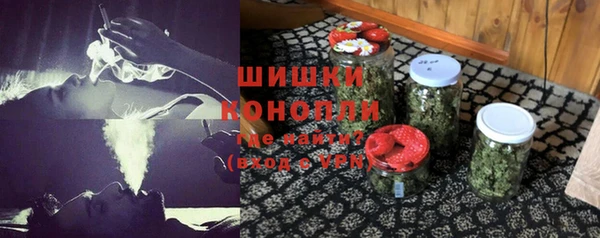 ALPHA PVP Каменка
