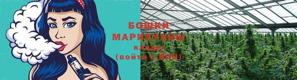 ALPHA PVP Каменка